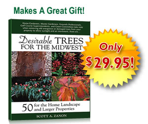Desirable Trees Book