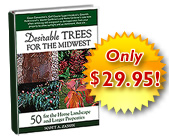 50 Desirable Trees for the Midwest